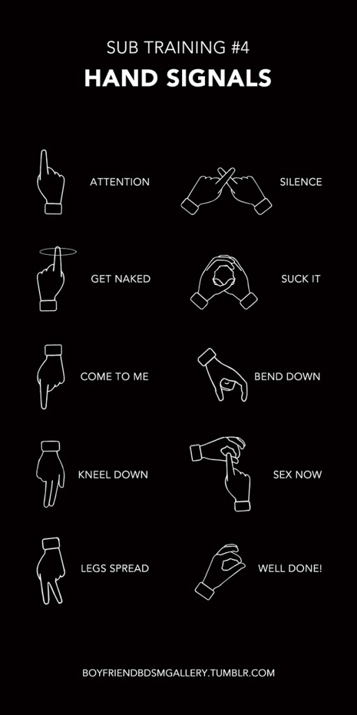 Illustrated Guide Hand Signals 1081